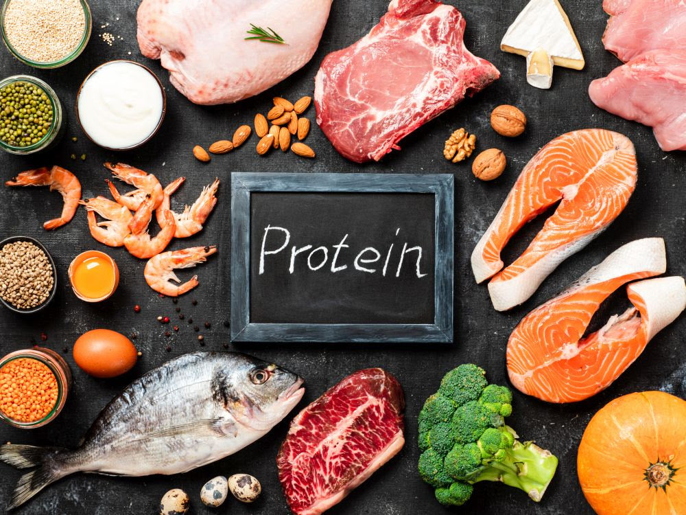 Protein Hunger Drives Cravings