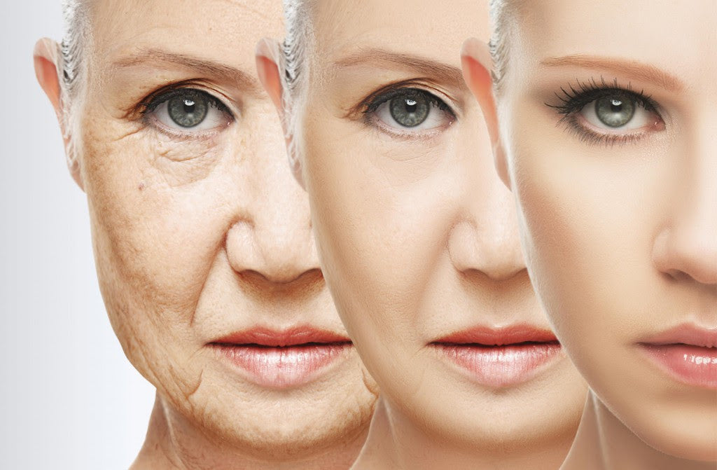 Crucial For Anti- Aging